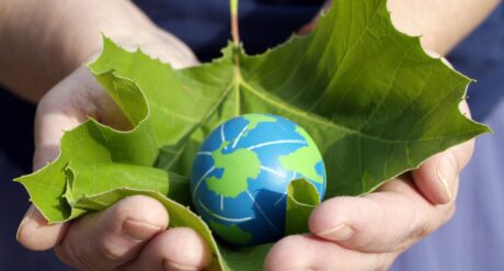 Becoming Carbon Neutral