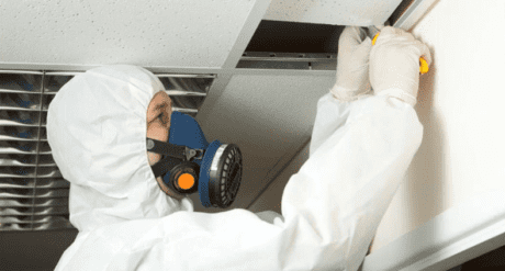 Asbestos Management