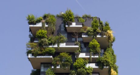 Reducing Carbon and Improving Building Energy Performance