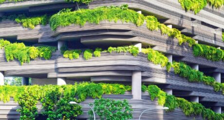 Sustainable Development and Green Infrastructure