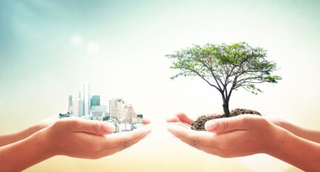 Ecology for New Developments