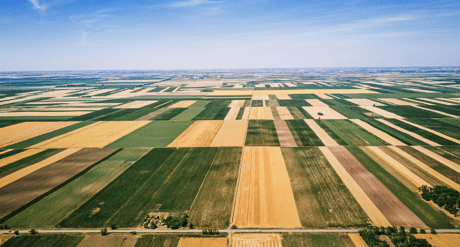 Biodiversity and Net Gain within Construction