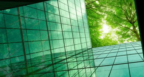 Sustainability from an International Perspective