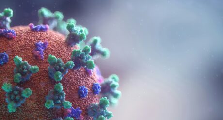 Dealing with Coronavirus under NEC and JCT Contracts