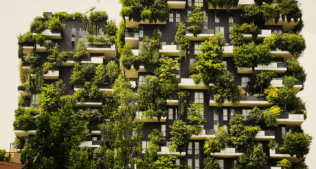 Environmental Sustainability Zone