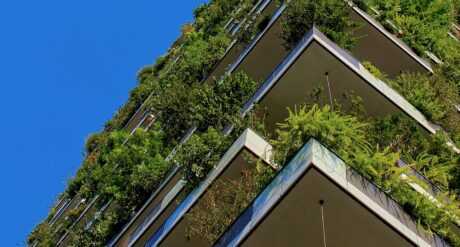 Sustainable Leadership in Construction
