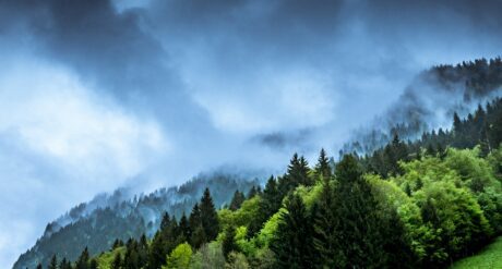 Carbon Challenges in the Built Environment