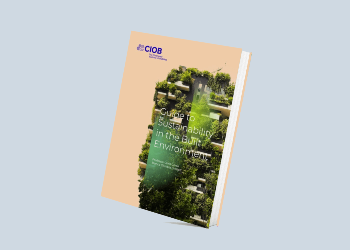 Guide to Sustainability in the Built Environment - CIOB Academy