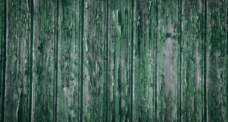 Unlocking the future of timber construction in Aotearoa (New Zealand)