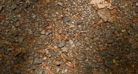 Soils & Stones Management for a Circular Economy