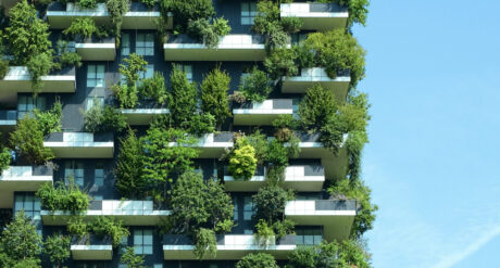 Resilience and Climate Adaptation: Building for Extreme Weather